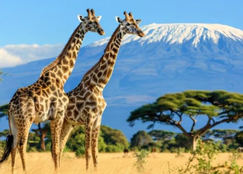 Easter Weekend Getaways in Kenya