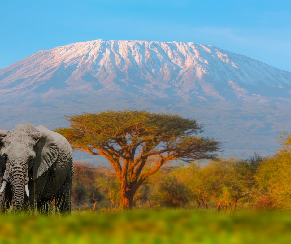 5-Day Mount Kenya Trekking Adventure – Chogoria Route (Optional Sirimon-Chogoria Traverse)