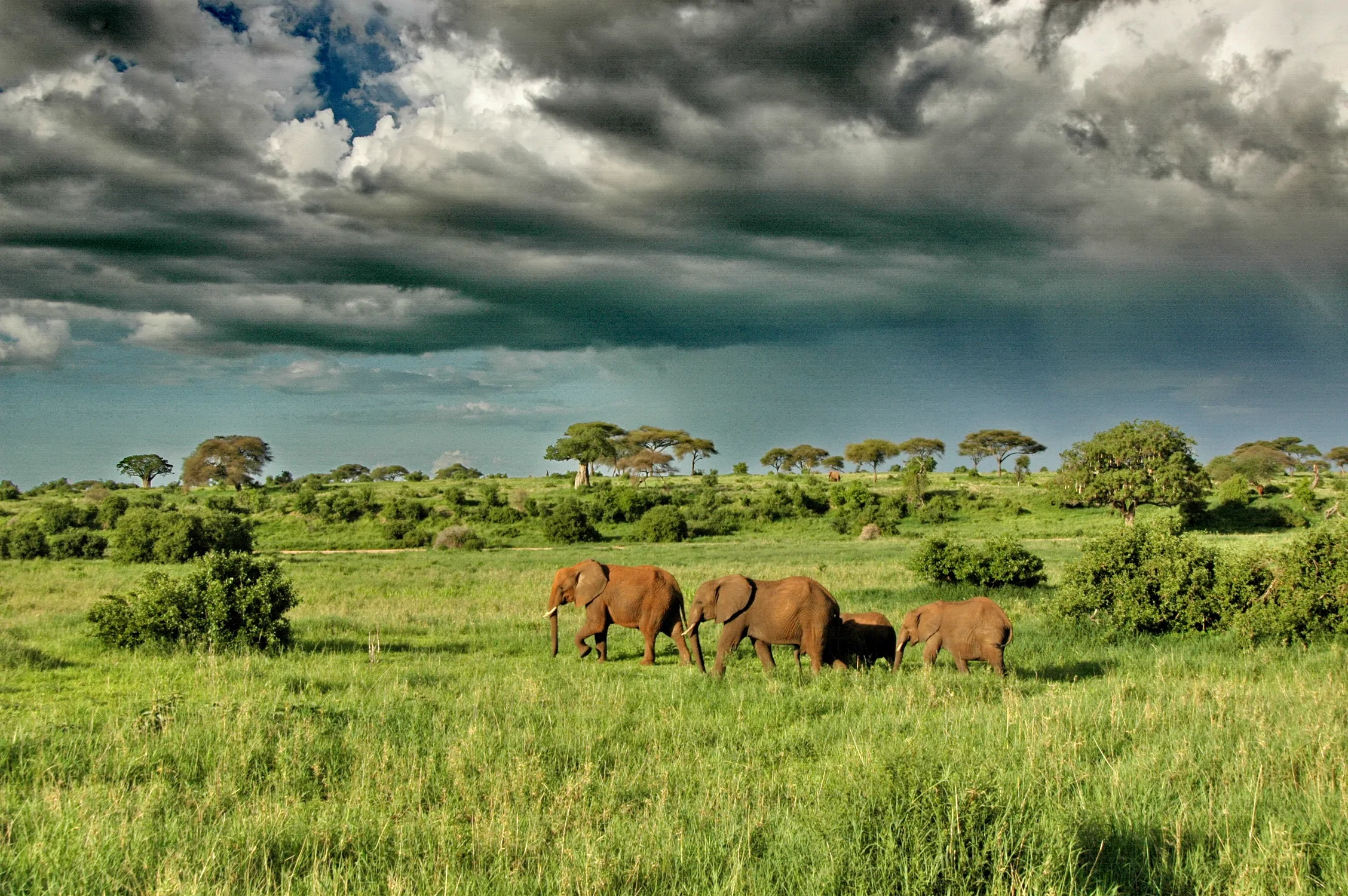  Uganda