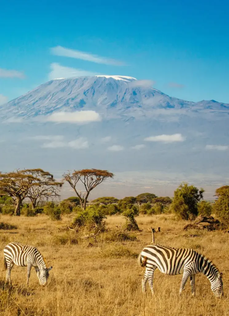 Kibo Safari Camp